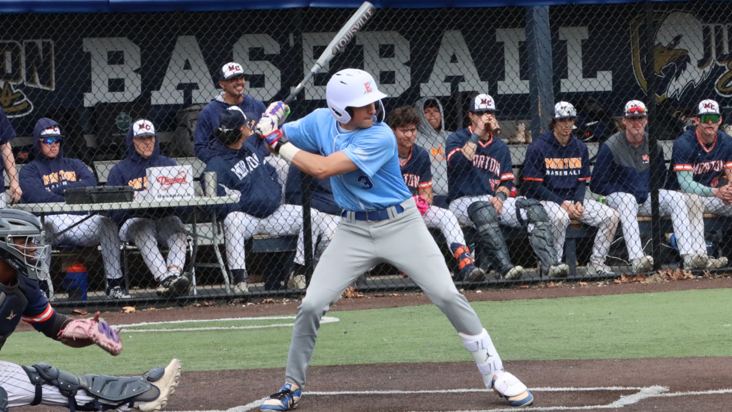 Baseball Falls in Oakton Series